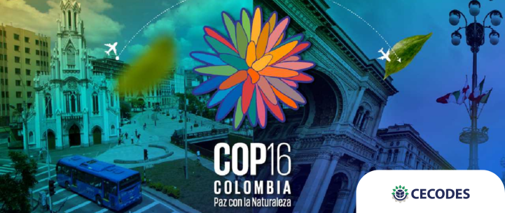 COP16 Roma