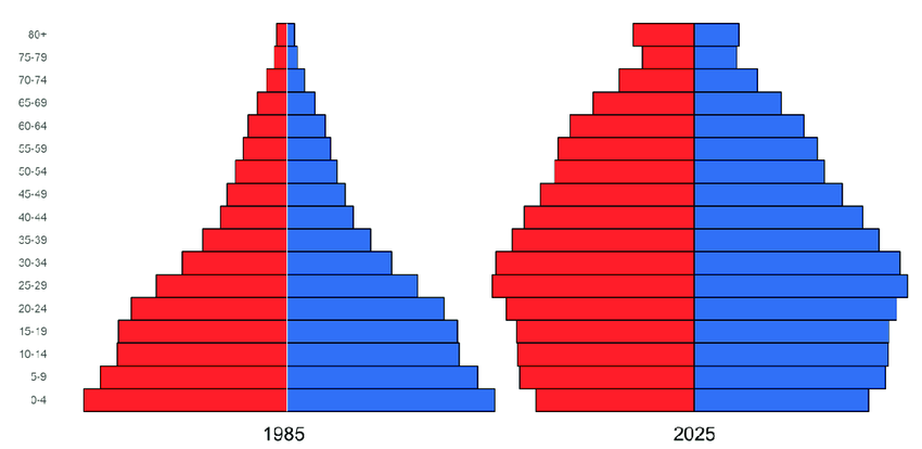 Figura-1-Cambio-en-la-composicion-porcentual-de-la-poblacion-colombiana-por-decenios-de Gráfica tomada de estudio demográfico del Danne