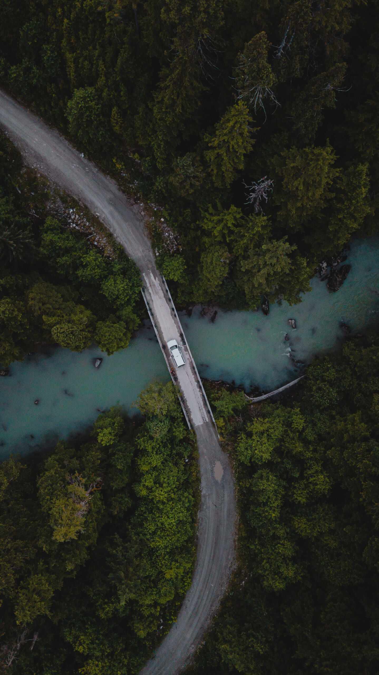 Módulo 3 – Nature Reporting Preparer Forum