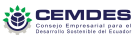 CEMDES_Brand_2021 (1) CEMDES_Brand_2021 (1)